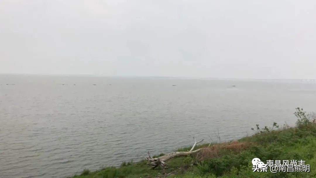 春雨如酥艾米果香