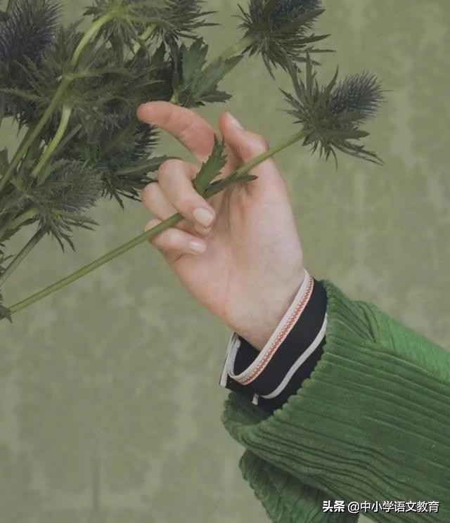 人教版七年级语文：9篇课外阅读理解题，附答案！转给孩子