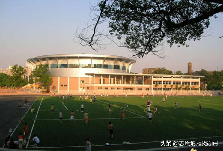 东北理工大学（电力强校）