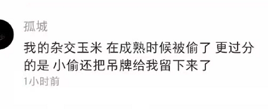 学农人的挂科理由火了，完成毕业论文真不容易，又心疼又想笑