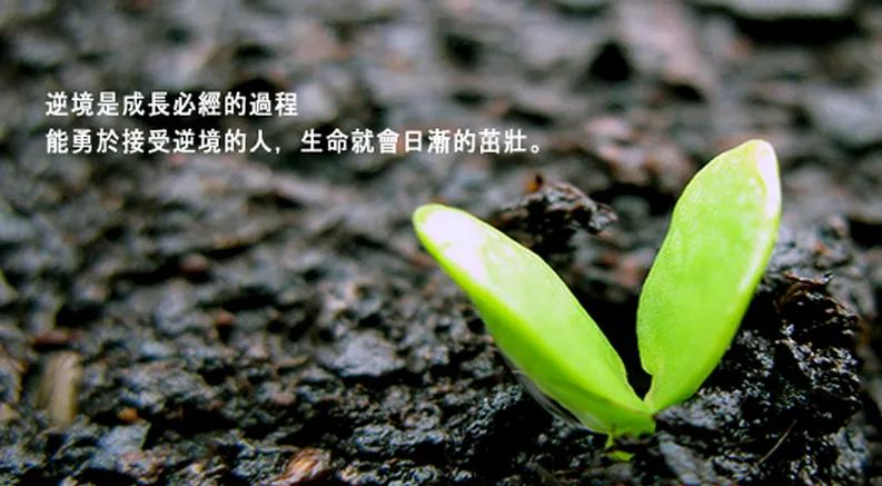 逆境造就人才,顺境埋没人才