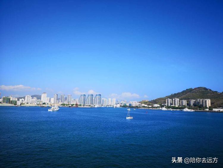 西沙~南海中的一片莲