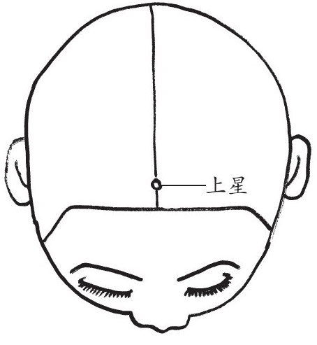 上星:主治头痛,眩晕,目赤肿痛,迎风流泪,面赤肿,鼻渊,鼻衄