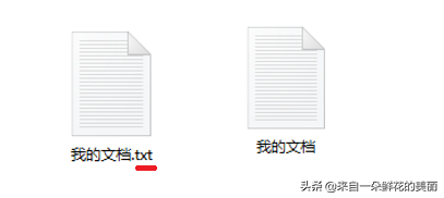 不能显示隐藏文件夹（电脑如何显示或隐藏文件的扩展名）(1)
