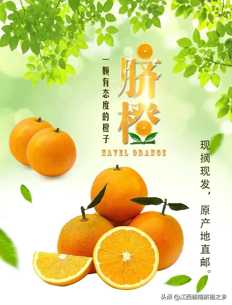 鮮橙汁,鮮橙汁的功效與作用