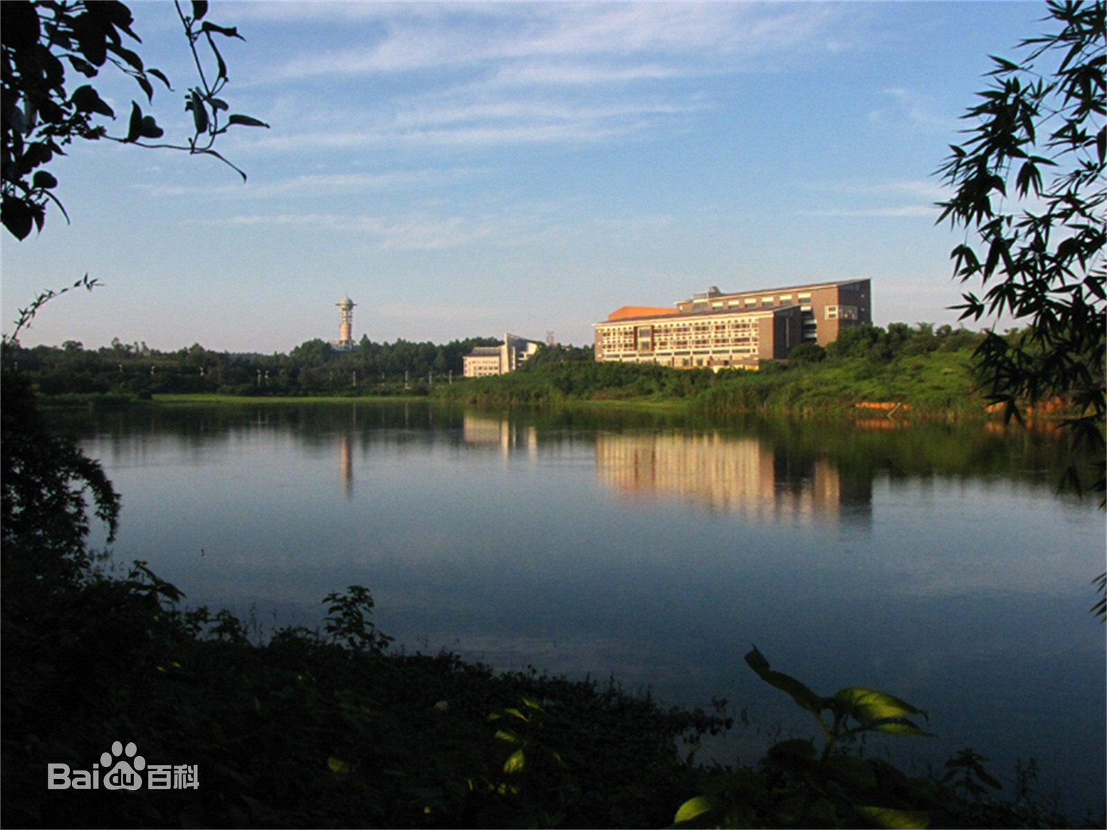 广东轻工职业技术学院如何？