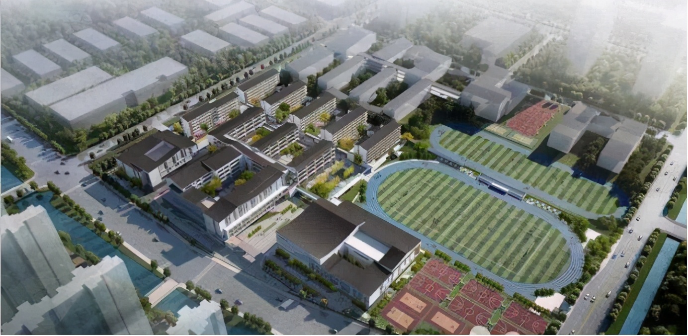 速看！今年15所新学校投用，你家周边有变化吗？