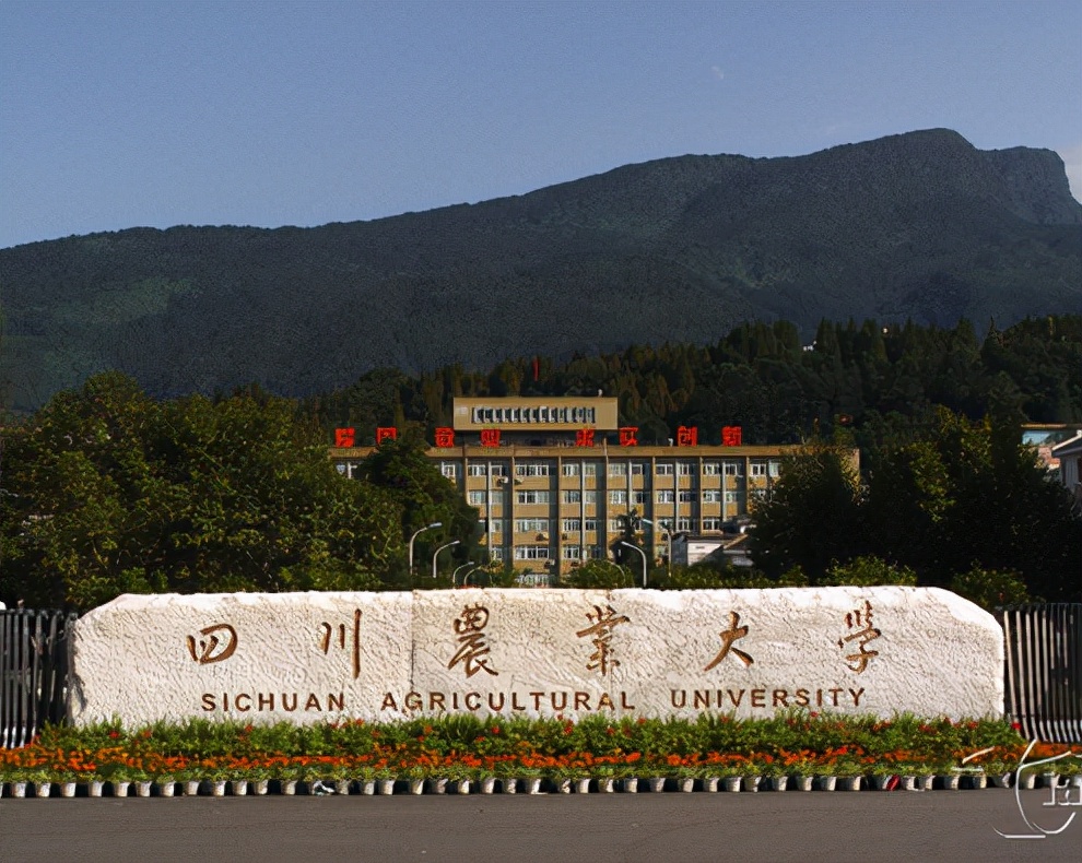 四川农业大学2017招生分数线（双一流）