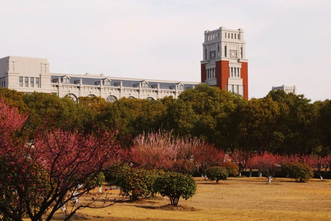 华政新增5个国家级和省级一流本科专业建设点！