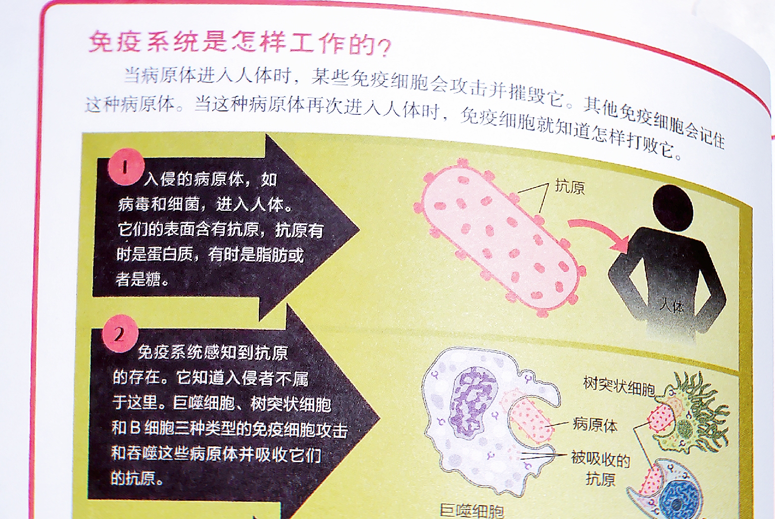 1+1＞2？让自己和孩子加倍享受阅读快乐时光的12部童书