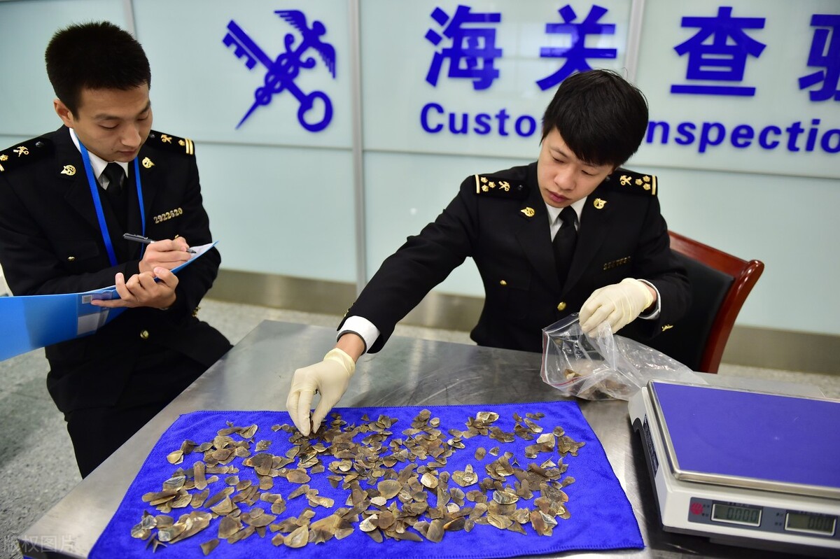 上海这所本二院校王牌专业分数线超过211，8成以上毕业生是公务员