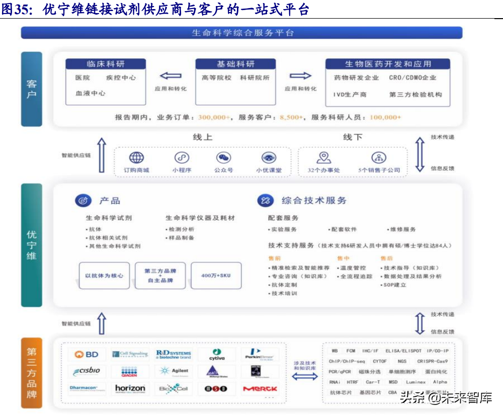 生物科研试剂行业研究：国内市场快速增长，行业百花齐放