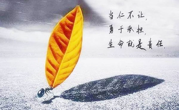 鹦鹉救火的故事_从鹦鹉灭火得到的启示 - 励志人生