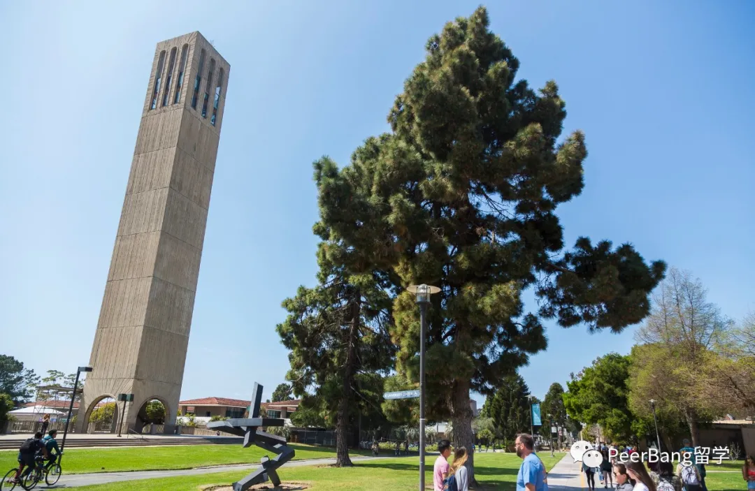 美国前30里，哪所大学不仅录取友好、强势学科还齐全？