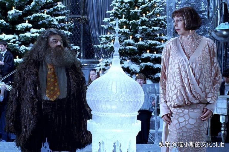 《哈利·波特》：鲁伯·海格与马克西姆夫人，相见恨晚的巨人之恋