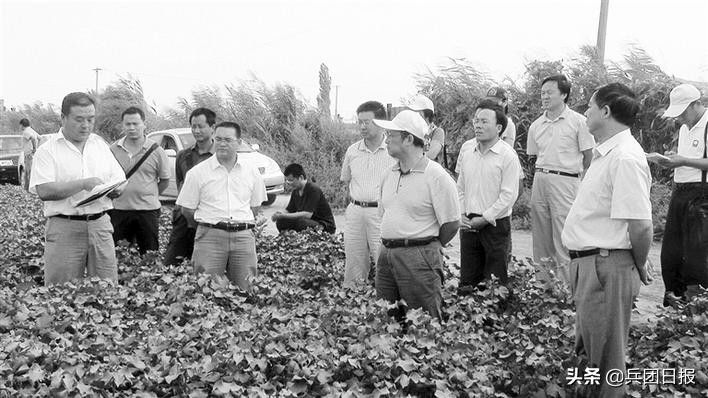 石河子大学在职研究生（从棉田里走出来的育种专家）