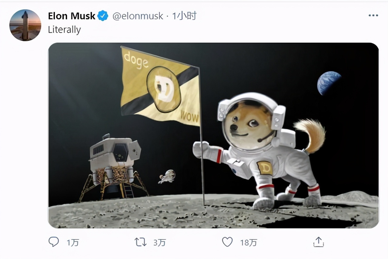 币圈疯了：炒完狗币炒屎币，下一步是炒LowB？