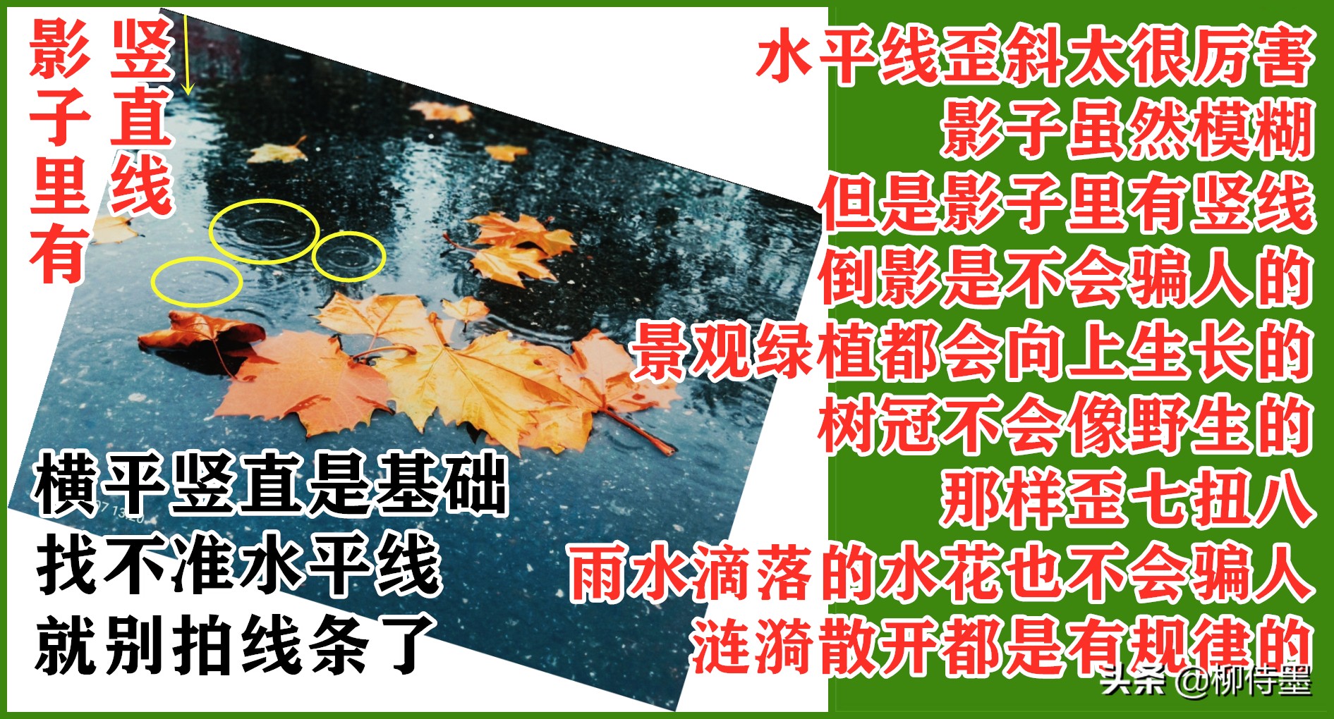 秋天景色美不胜收，每天学点摄影技巧，拍好“一叶知秋”