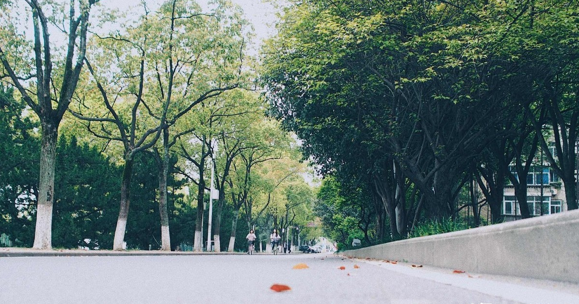 中南财经政法大学很牛吗？中南财大为啥叫小破财？