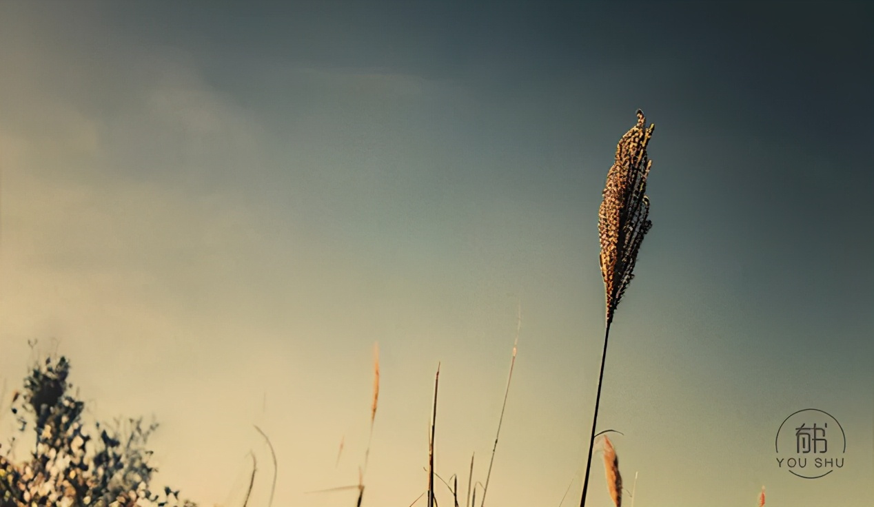 人生如棋，落子无悔
