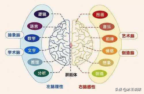 夏天羽毛球打多少速度(空气动力影响羽毛球的飞行周期（全文）)