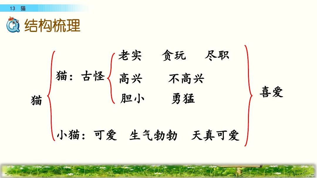 部编版四年级下册第13课《猫》课文朗读,知识点,图文解读