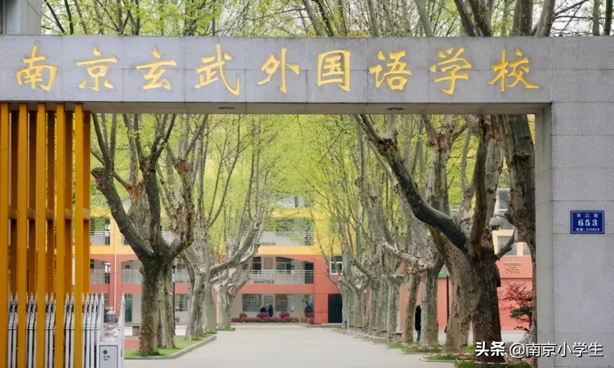 玄武区教育格局：小、初、高名校全盘点