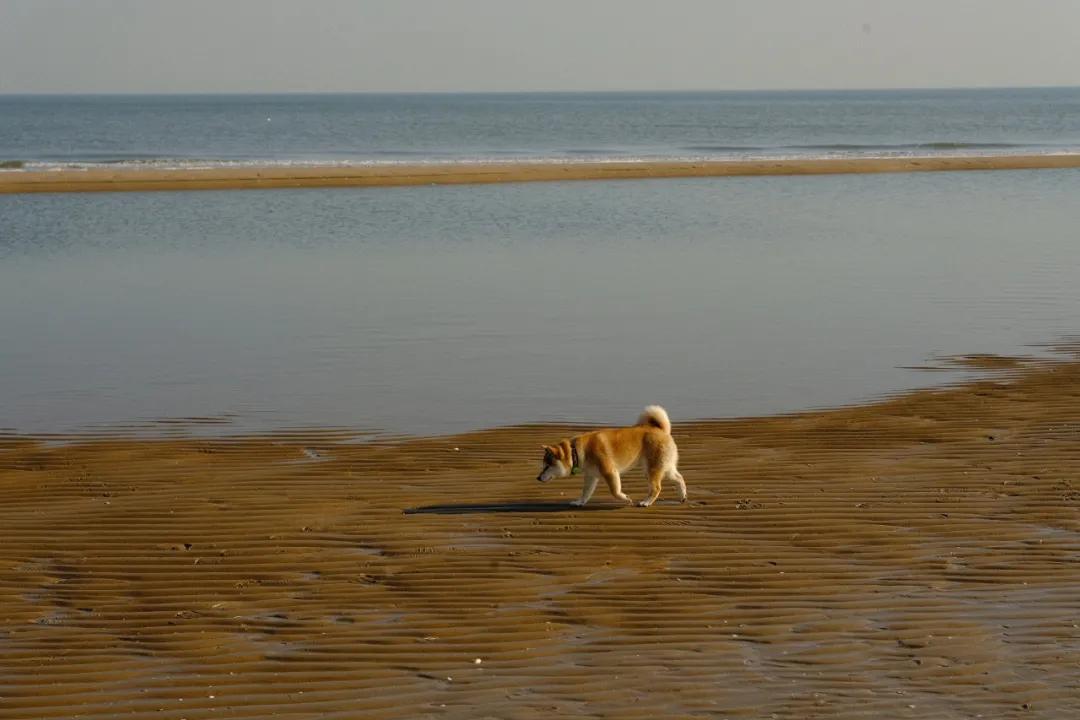 我从海边回来了，淡季的阿那亚就三个字：值得去