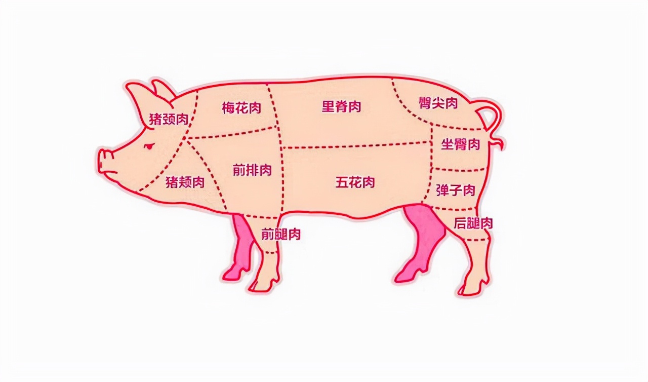 猪肉算是我们平常吃最多的肉食了.