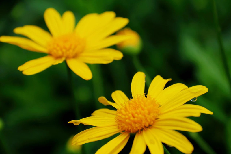 避暑计划：海子山避暑十二时辰