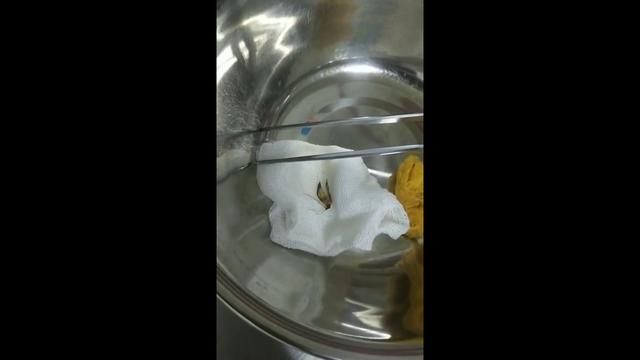 男子骑电动车时耳朵进入小飞虫的紧急处理方法