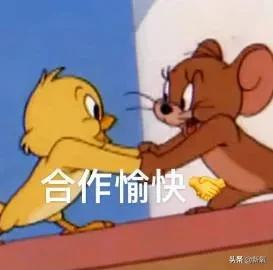 回国就能让内娱变天的天降紫薇星,还没红就塌得一干二净了?