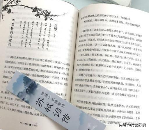 苏轼送朋友小妾一首词，竟成朋友圈