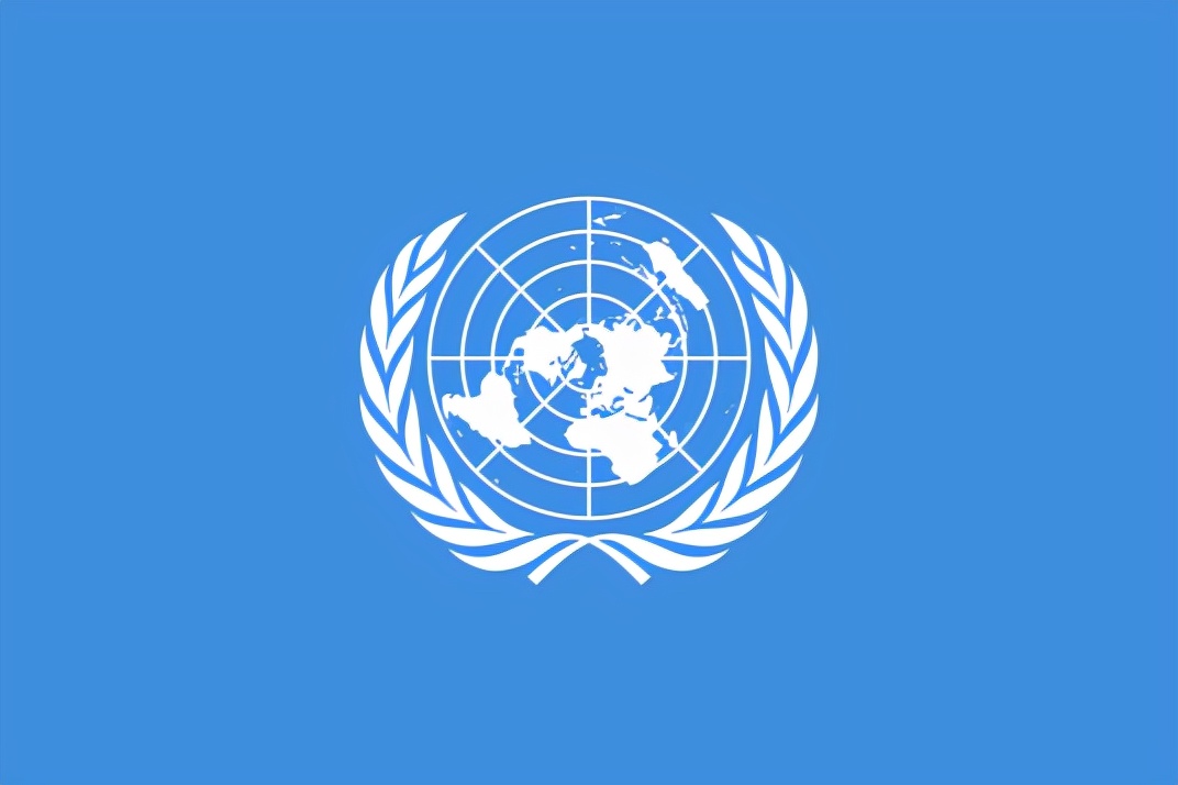 国际公益组织logo图片
