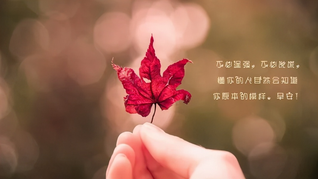 感恩相识珍惜相遇语句 两个人彼此珍惜的话图片