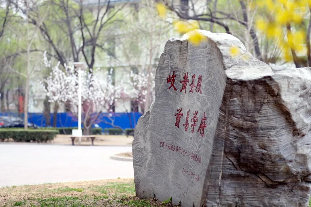 再添喜讯！北京中医药大学新专业+1