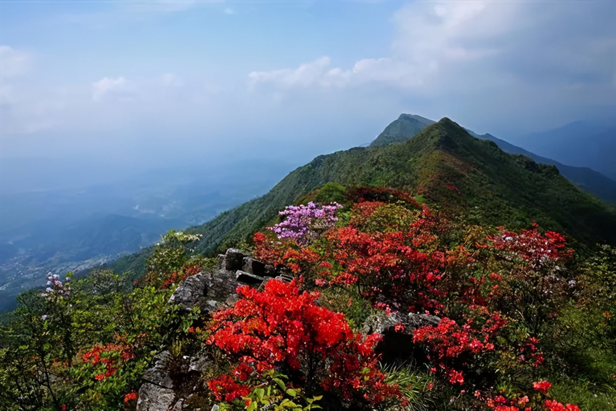 桂东旅游景点大全介绍古民居