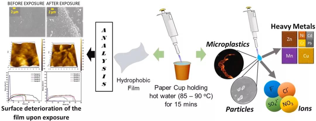 科学研究一次性纸杯含有微塑料、有毒重金属或可导致疾病风险