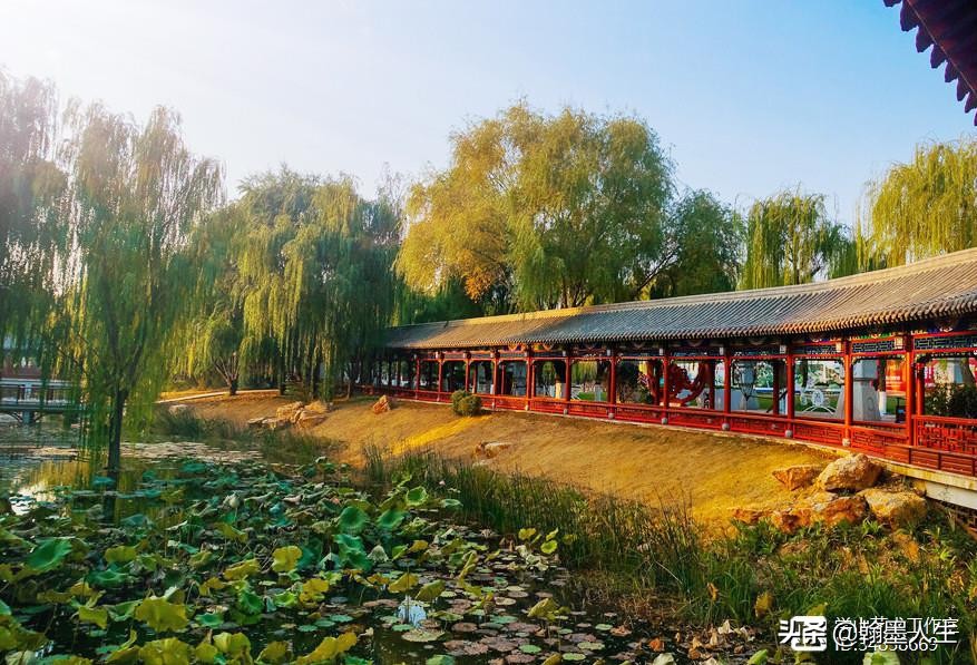 游览泰山西湖，放歌时代新篇，欣赏美丽画卷，雄心迈向未来