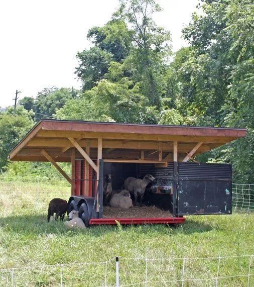 羊棚的搭建图片大全(高贵的羊舍) - 赤虎壹号