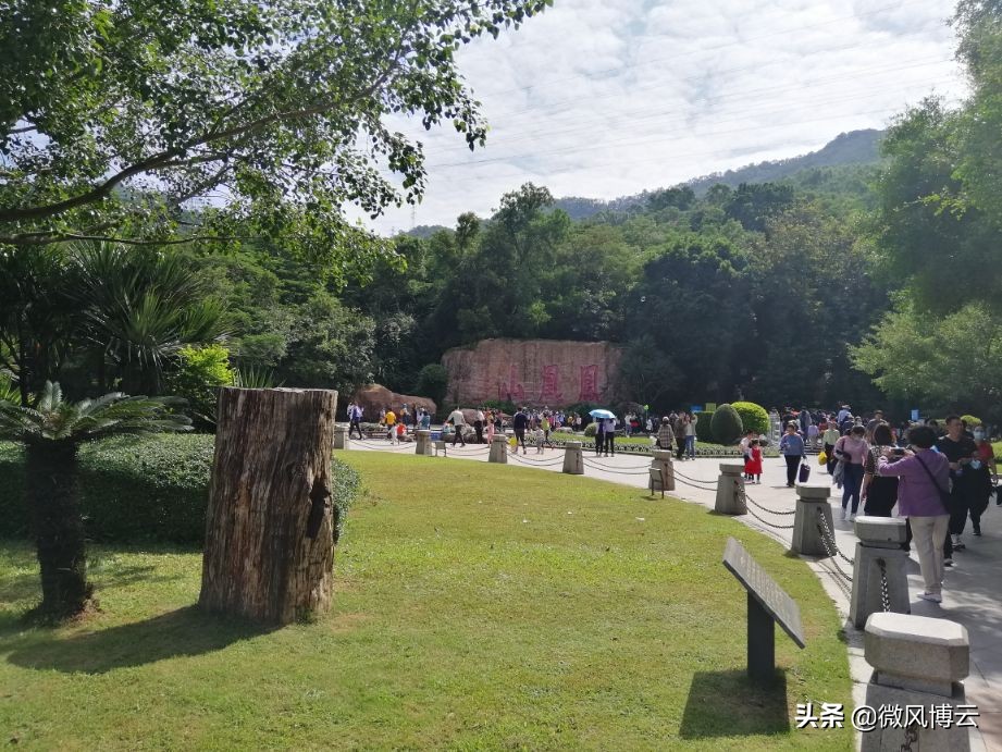 深圳免費自由行--深圳鳳凰山森林公園旅遊攻略(美麗深圳遊玩)