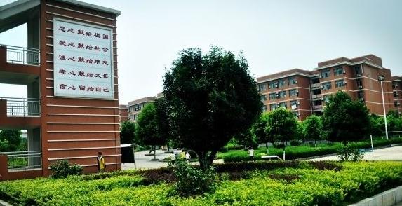 益阳有哪些大学「益阳老年大学有哪些班」