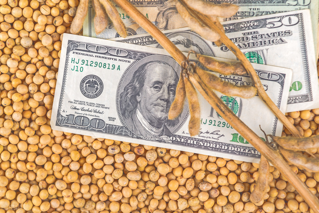 玉米“越涨越猛”，突破1.5元大概几成？大豆、豆油迎来高光时刻