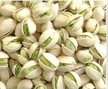 开心果适合在哪里种植 为什么没人种植开心果