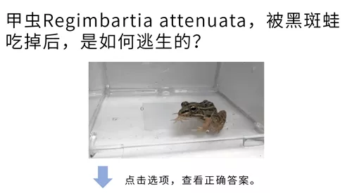 高考大作战！20道冷门又难解的试题等你来解答