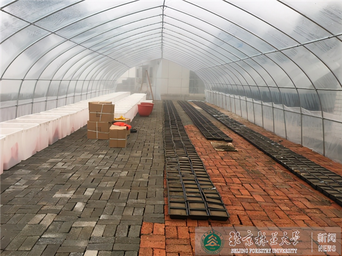 中央部门采纳！北京林业大学新增一座国家级科技创新基地！