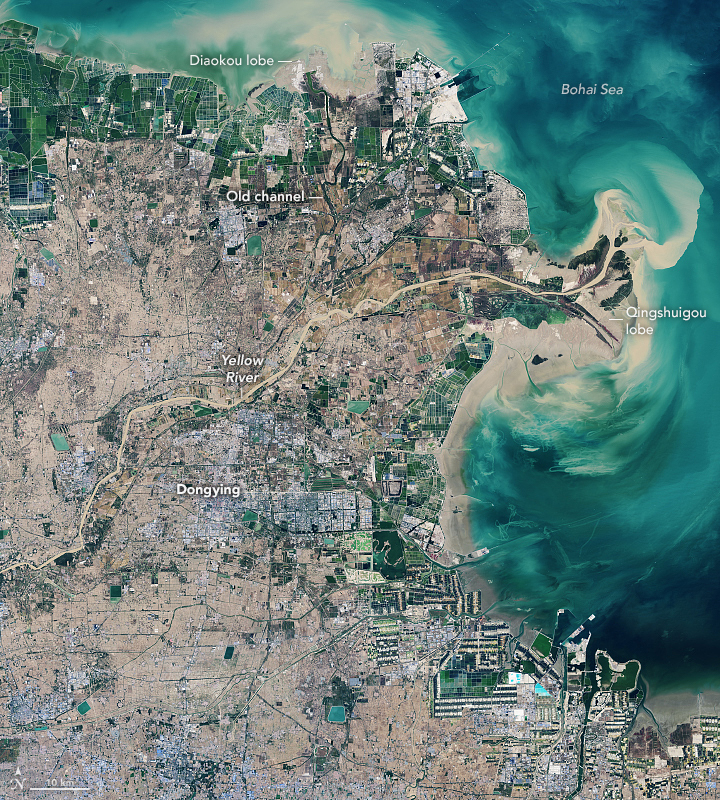 黄河三角洲 -徐拾记官网