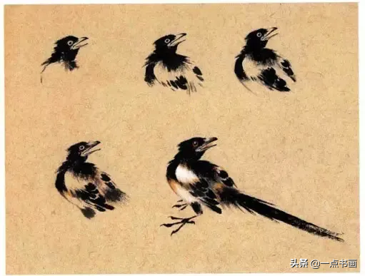 一学就会画——小写意禽鸟画法