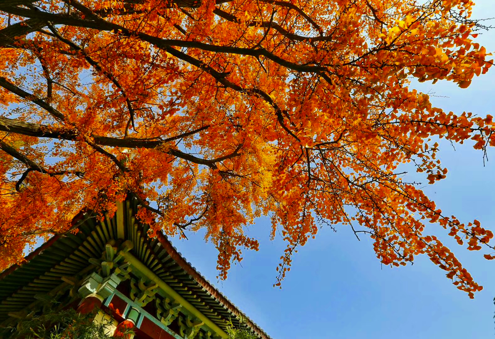 以南京大学为例，看高校合并是否一定会增强实力这个问题