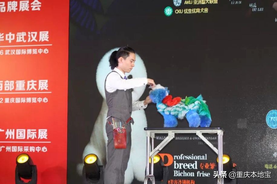 一大波萌宠来袭！国际宠博会落地重庆！还有限量免费门票可以领